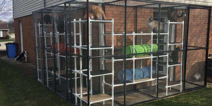 Outdoor PVC “Catio” for Cat Play & Protection