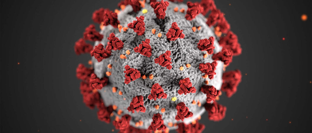 2019 Novel Coronavirus (COVID-19) and PVC